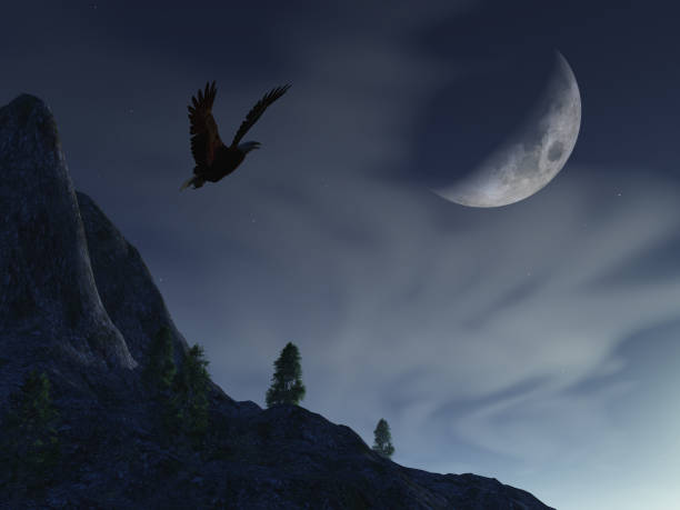 Luna notturna sull'aquila di montagna - foto stock