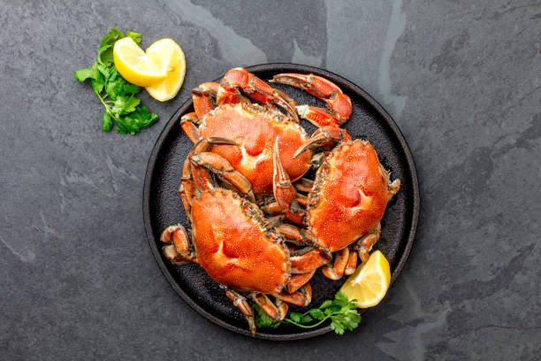 Cooked whole crabs on black plate served with white wine, black slate background, top view Cooked crabs on black plate served with white wine, black slate background, top view. crab seafood stock pictures, royalty-free photos & images