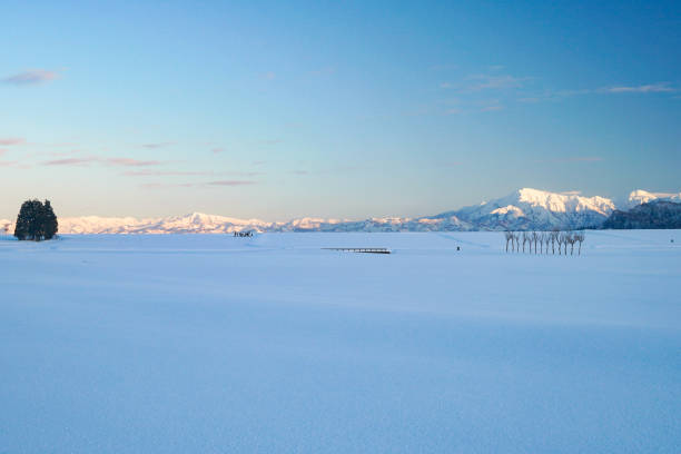 istock Evening of beautiful snow scene 905375006