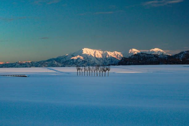 istock Evening of beautiful snow scene 905375014