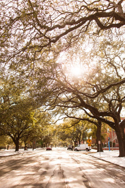 istock Snowy Savannah, Georgia 905376124