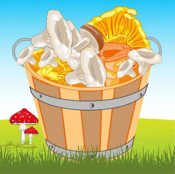 Vector illustration of Bucket with fruit and berry