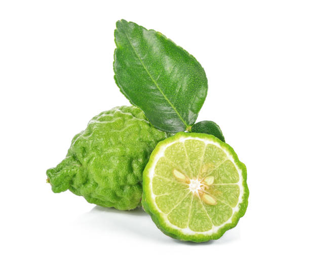 fresh bergamot fruit with leaf isolated on white background fresh bergamot fruit with leaf isolated on white background. kaffir stock pictures, royalty-free photos & images