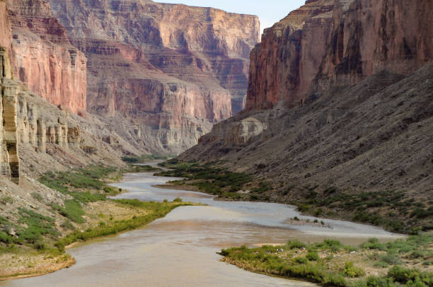 istock Colorado River in Grand Canyon 905379370
