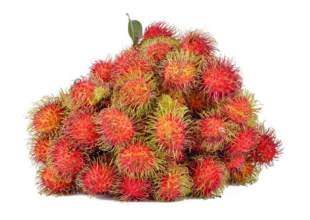 istock rambutan isolated on the white background 905379412