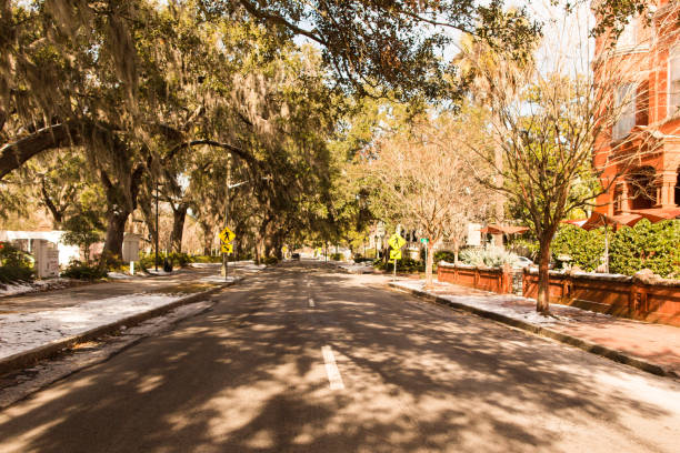 istock Snowy Savannah, Georgia 905379452