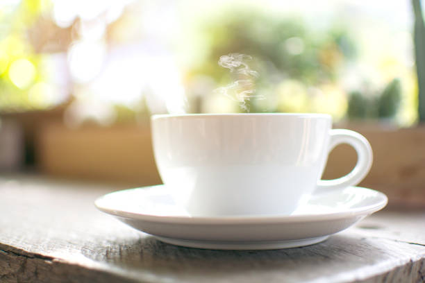 istock Close up a steaming white cup of hot cappuccino with bokeh tree background 905379998