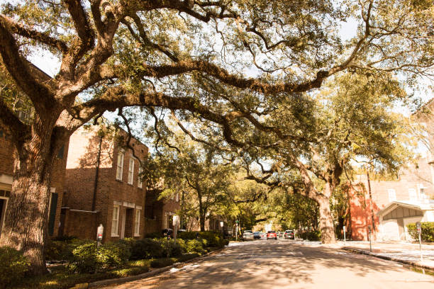 istock Snowy Savannah, Georgia 905380038