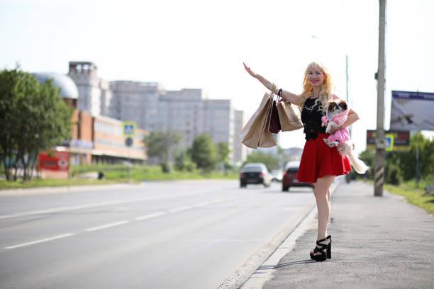 istock Beautiful young blonde with little dog 905382648