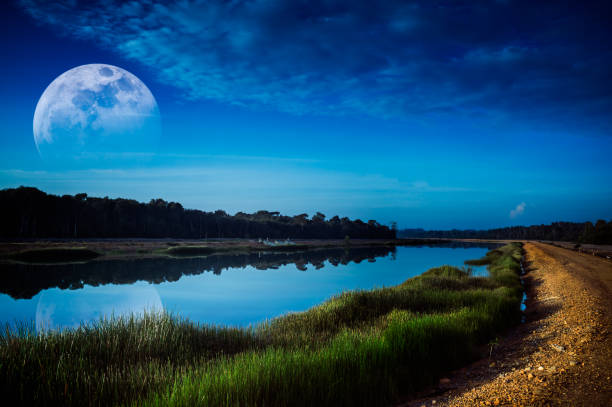 istock Night sky and super moon at riverside. Serenity nature background. 905383320