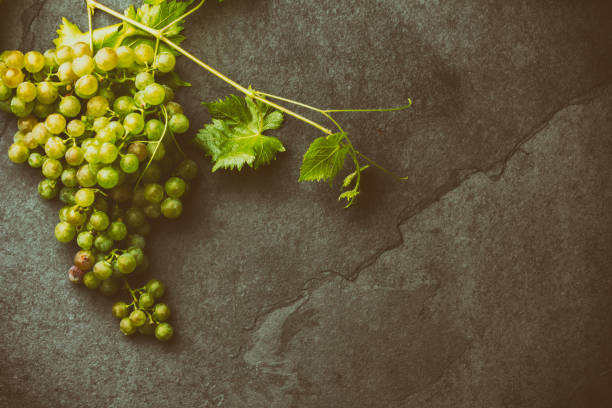 istock Grape and corkscrews wine concept, Stone background, top view 905387210