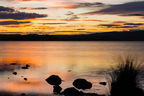 istock Moulting Lagoon in Tasmania, Australia 905387300