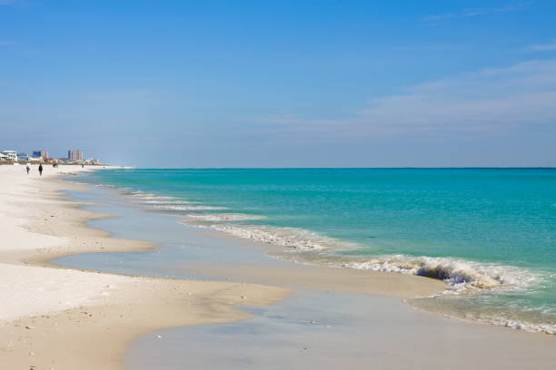istock Pensacola Beach in Winter 905400436