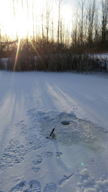 istock Ice fishing catches 905401914