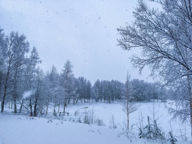 istock Snowy winter landscape from Sotkamo, Finland. 905402034