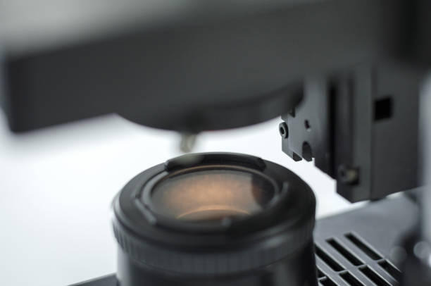 istock laboratory concept, part of microscope in laboratory use for research and test sample on glass plate 905405598