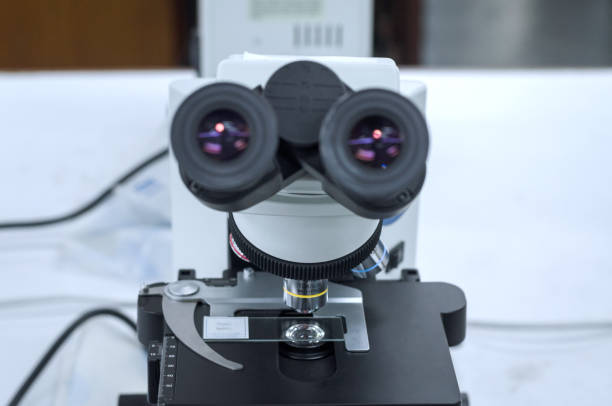 istock laboratory concept, part of microscope in laboratory use for research and test sample on glass plate 905405624