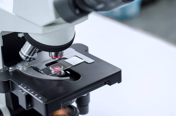 istock laboratory concept, part of microscope in laboratory use for research and test sample on glass plate 905405654