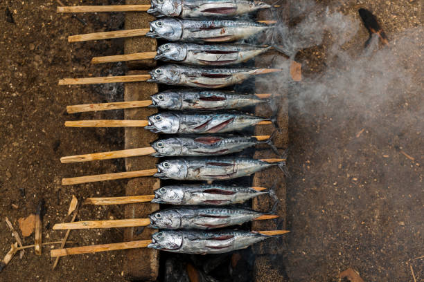Cooking fresh fish on a fire stock photo