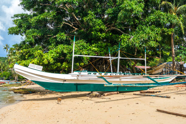 istock Bangka boat is standing on the beach, Philippines 905408806