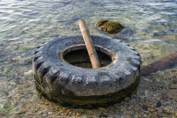 istock An old tire with bamboo stick in the sea 905408928