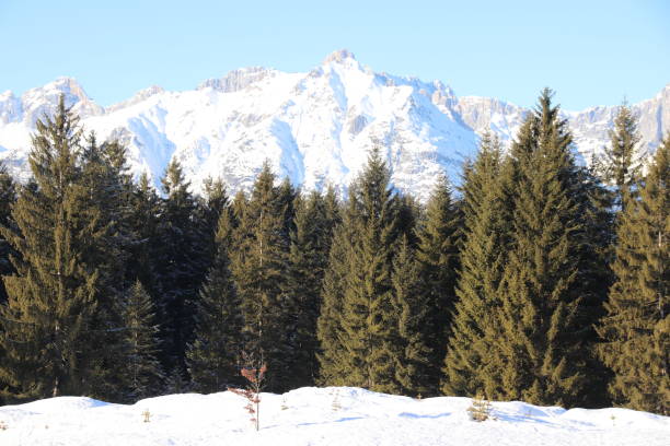 горы веттерштейна зимой, зеефельд, тироль, австрия - gehrenspitze стоковые фото и изображения