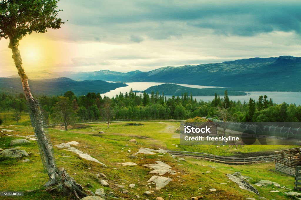 Phong Cảnh Bắc Âu Tuyệt Đẹp Với Rừng Núi Hồ Và Nhà Với Cỏ Xanh Hoặc Mái Nhà  Sống Cảnh Quan Núi Và Thung Lũng Hình ảnh Sẵn có - Tải xuống