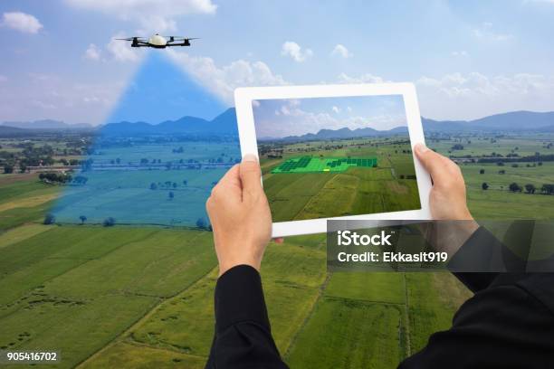 Drone For Agriculture Drone Use For Various Fields Like Research Analysis Safety Rescue Terrain Scanning Technology Monitoring Soil Hydration Yield Problem And Send Data To Smart Farmer On Tablet Stock Photo - Download Image Now
