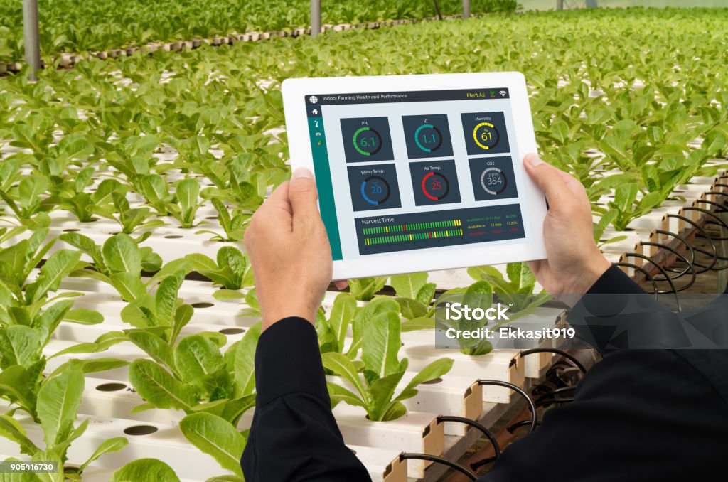IOT industria inteligente robot 4.0 agricultura concepto, ingeniero agrónomo industrial, granjero usando tableta para monitorear, controlar la condición en la granja vertical o de interior, los datos incluyendo Ph, temperatura, Ic, humedad, co2 - Foto de stock de Tecnología libre de derechos