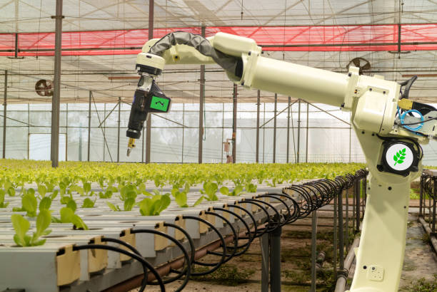 smart robotic in agriculture futuristic concept, robot farmers (automation) must be programmed to work to spray chemical,fertilizer or increase efficiency, growing a seed, harvesting, reduce time inteligente de robótica en agricultura concepto futurista, robot agricultores (automatización) deben programarse para trabajar para aerosol químico, fertilizante o aumentar la eficiencia, crecimiento de una semilla, la cosecha, reducir el tiempo de