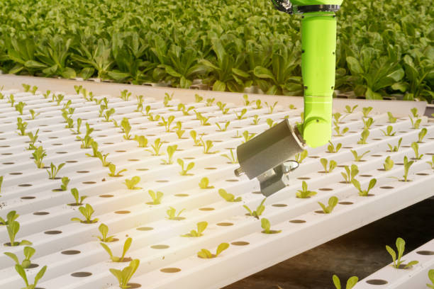 smart robotic in agriculture futuristic concept, robot farmers (automation) must be programmed to work in the vertical or indoor farm for increase efficiency, growing a seed, harvesting, reduce time inteligente robot en concepto futurista de la agricultura, los agricultores robot (automatización) deben programarse para trabajar en la granja vertical o de interior para aumentar la eficiencia, de una semilla, cosecha, reducir el tiempo de