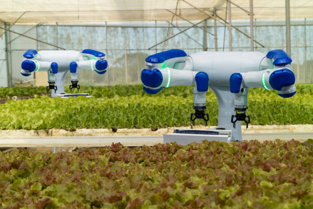smart robotic in agriculture futuristic concept, robot farmers (automation) must be programmed to work in the vertical or indoor farm for increase efficiency, growing a seed, harvesting, reduce time inteligente robot en concepto futurista de la agricultura, los agricultores robot (automatización) deben programarse para trabajar en la granja vertical o de interior para aumentar la eficiencia, de una semilla, cosecha, reducir el tiempo de