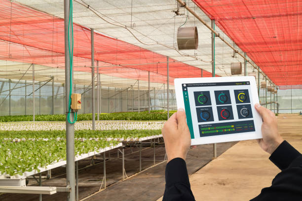 istock iot smart industry 4.0 agriculture concept,industrial agronomist,farmer using software Artificial intelligence technology in tablet to monitoring condition of 905416928