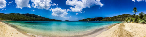 istock Tropical beach in the Virgin Islands 905417812