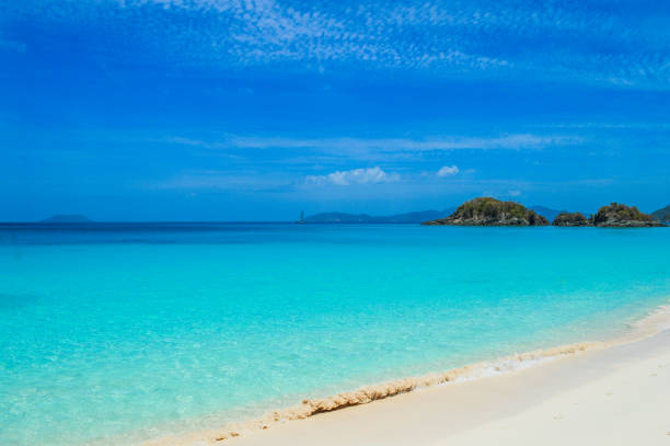 istock Tropical beach in the Virgin Islands 905420116