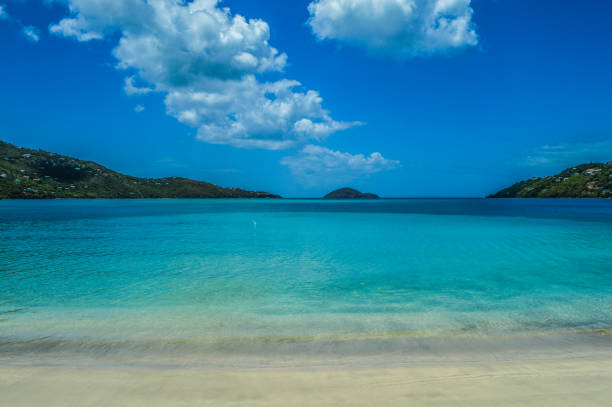 istock Tropical beach in the Virgin Islands 905420260