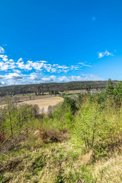 istock Spring landscape with fresh green trees and blue sky 905420628