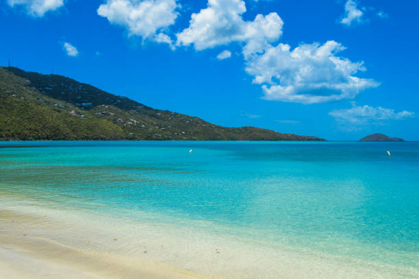 istock Tropical beach in the Virgin Islands 905420782