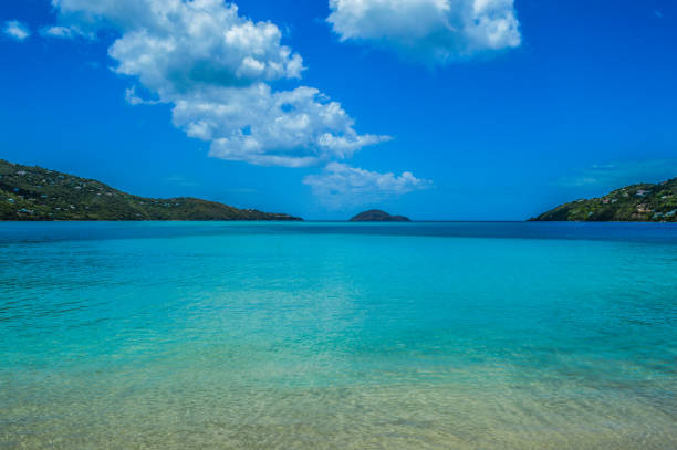istock Tropical beach in the Virgin Islands 905421546