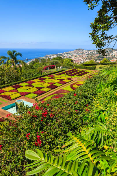 ポルトガル、マデイラ島フンシャル町でモンテ トロピカル ガーデン - formal garden garden path bench flower ストックフォトと画像
