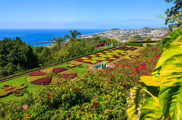 ポルトガル、マデイラ島フンシャル町でモンテ トロピカル ガーデン - formal garden garden path bench flower ストックフォトと画像