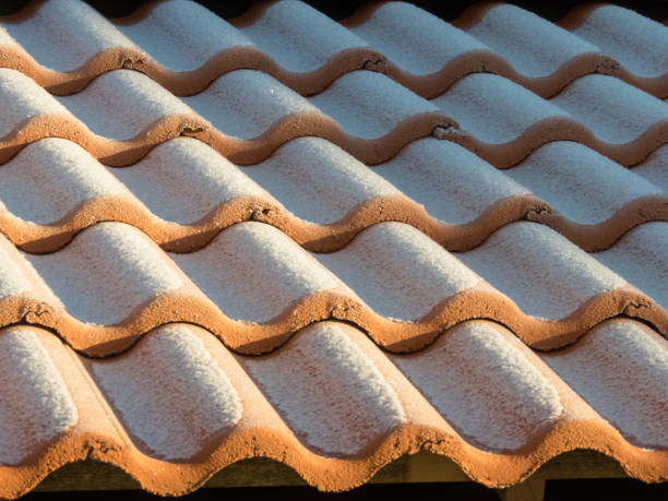 Roof tiles