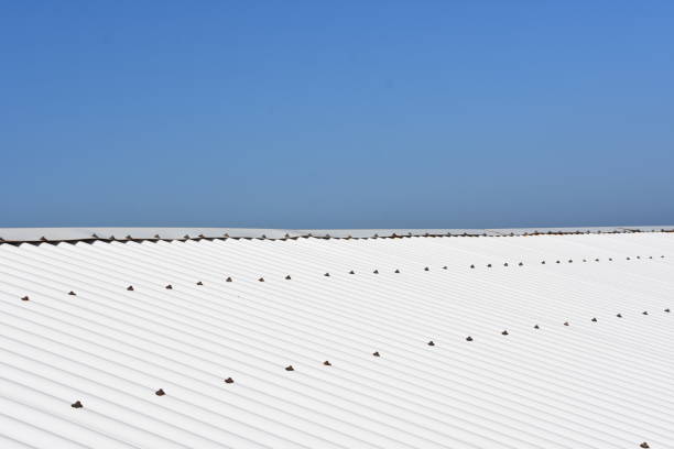 背景の白いトタン屋根 - corrugated iron ストックフォトと画像