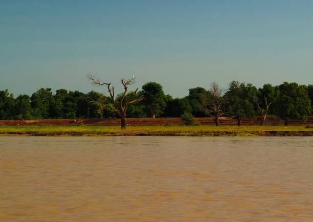 vue sur le fleuve niger près de niamey, niger - niger delta photos et images de collection