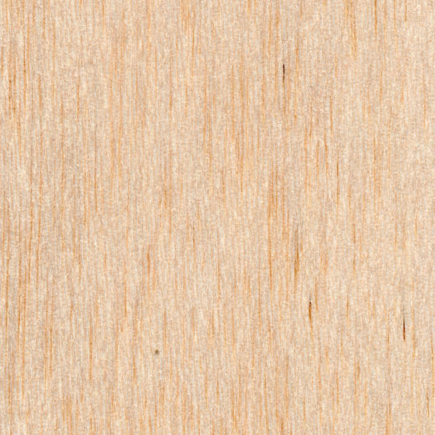 balsa-holz-textur - wood birch wood grain textured stock-fotos und bilder