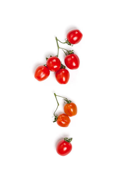 istock Cherry tomatoes (mini) on a branch on a clean white background. Isolated. 905438910