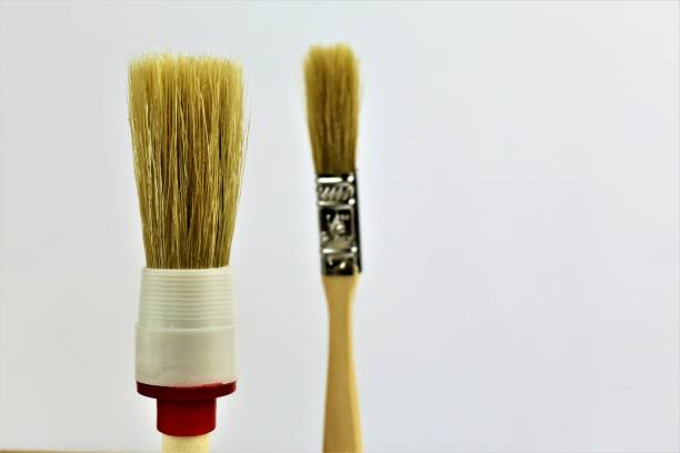 istock An concept Image of a paint brush with copy space 905445078