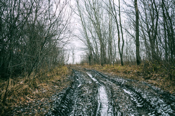 秋の森のオフロード トラック - off road vehicle 4x4 snow driving ストックフォトと画像