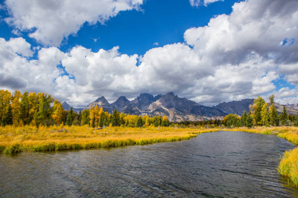 istock Grand Teton National Park 905445756