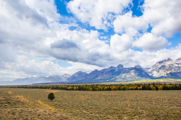 istock Grand Teton National Park 905445822